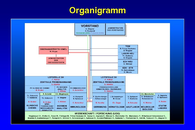 Organigramm 