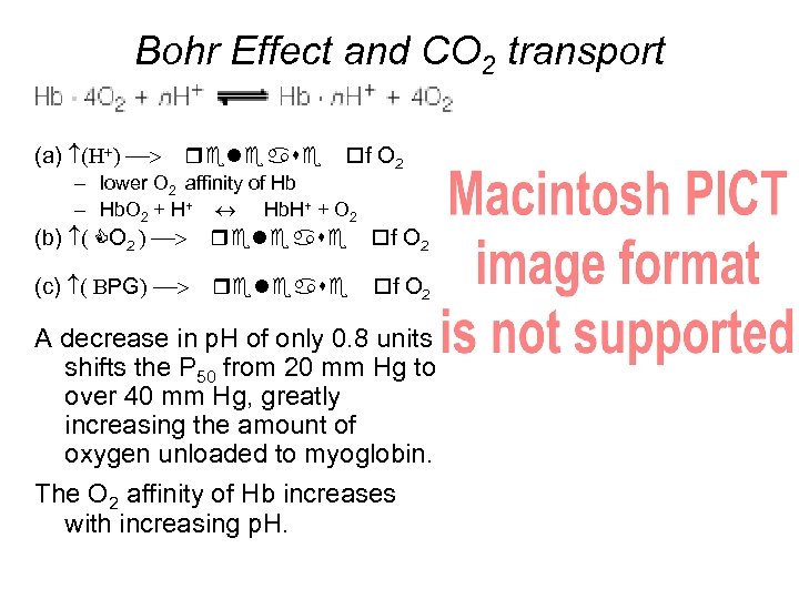 Bohr Effect and CO 2 transport (a) f O 2 – lower O 2