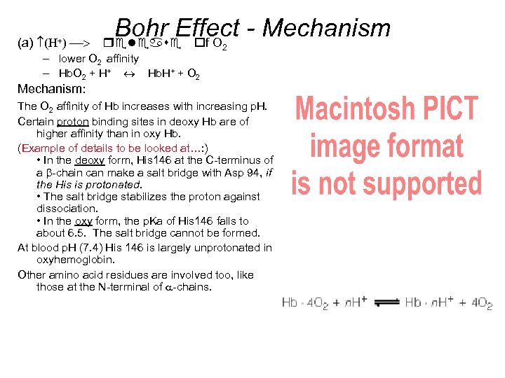 Bohr Effect - Mechanism (a) f O 2 – lower O 2 affinity –