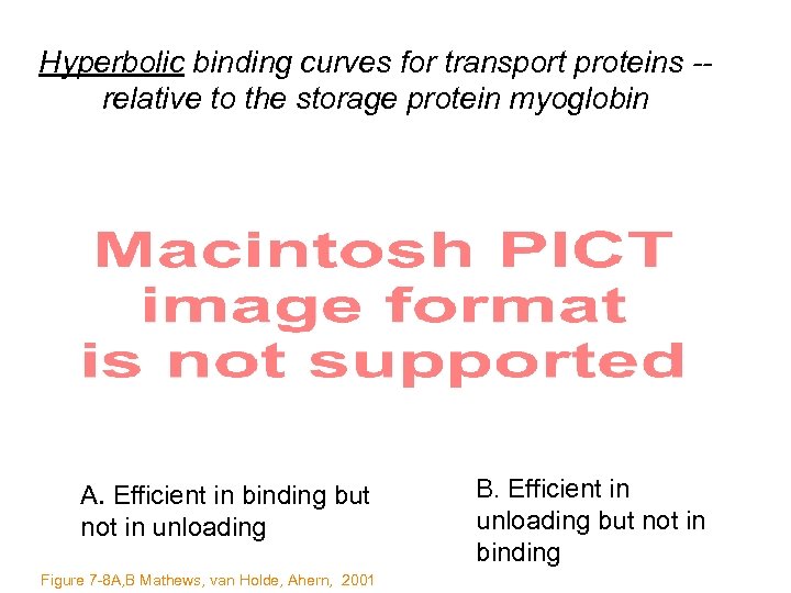 Hyperbolic binding curves for transport proteins -relative to the storage protein myoglobin A. Efficient