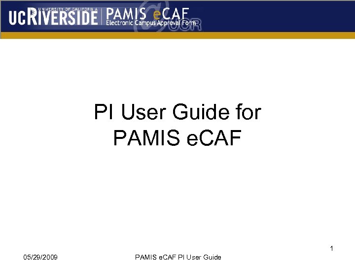 PI User Guide for PAMIS e. CAF 1 05/29/2009 PAMIS e. CAF PI User