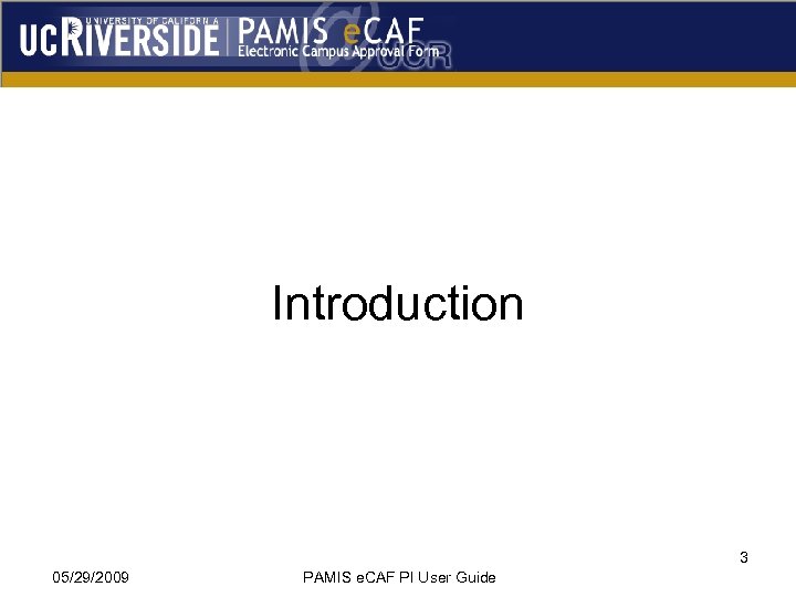 Introduction 3 05/29/2009 PAMIS e. CAF PI User Guide 