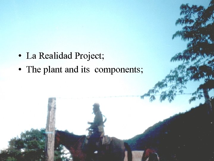  • La Realidad Project; • The plant and its components; 