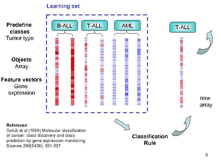 Learning set Predefine classes Tumor type B-ALL T-ALL AML T-ALL ? Objects Array Feature