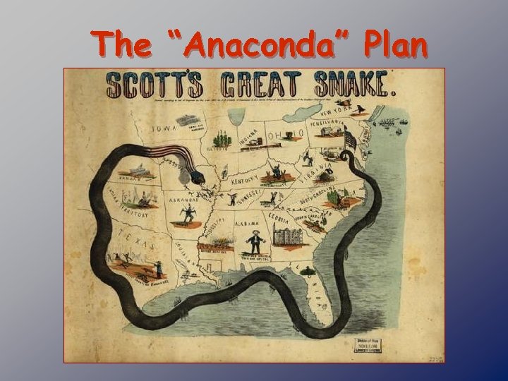 The “Anaconda” Plan 