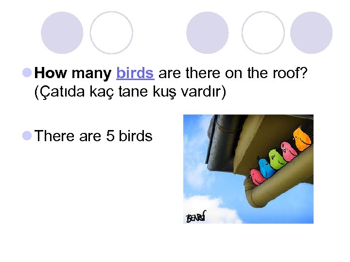 l How many birds are there on the roof? (Çatıda kaç tane kuş vardır)