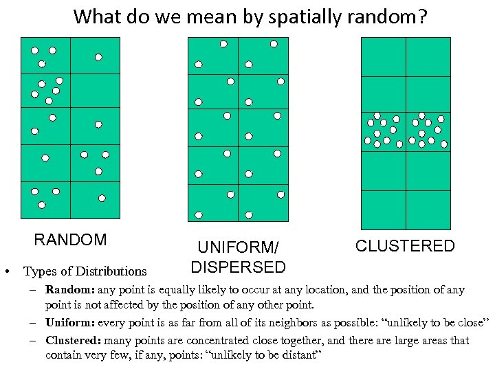 What do we mean by spatially random? RANDOM • Types of Distributions UNIFORM/ DISPERSED