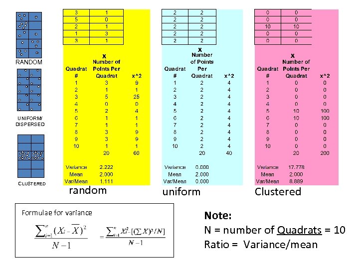 x x RANDOM x UNIFORM/ DISPERSED CLUSTERED random uniform Formulae for variance 2 Clustered