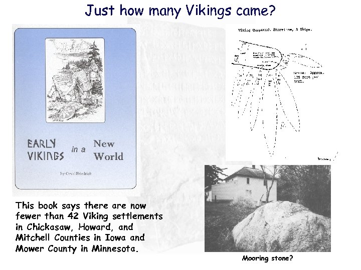 Just how many Vikings came? This book says there are now fewer than 42