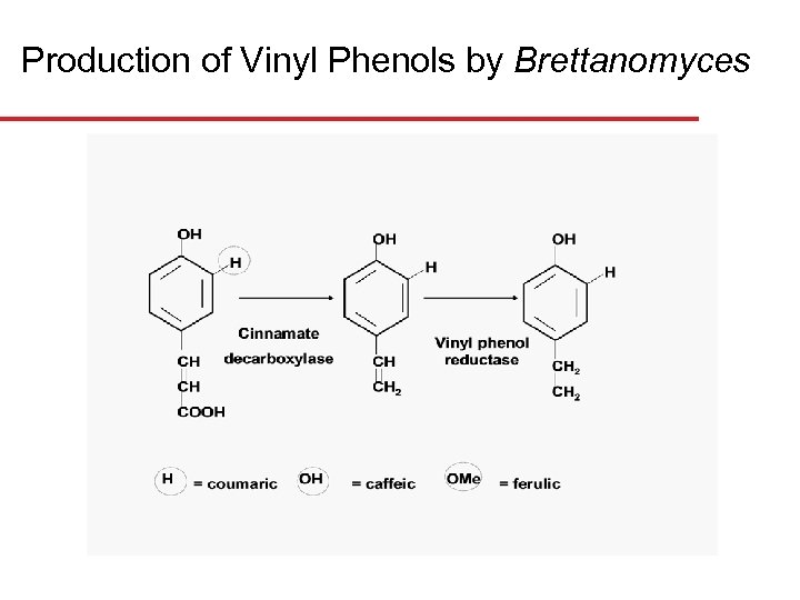Production of Vinyl Phenols by Brettanomyces 
