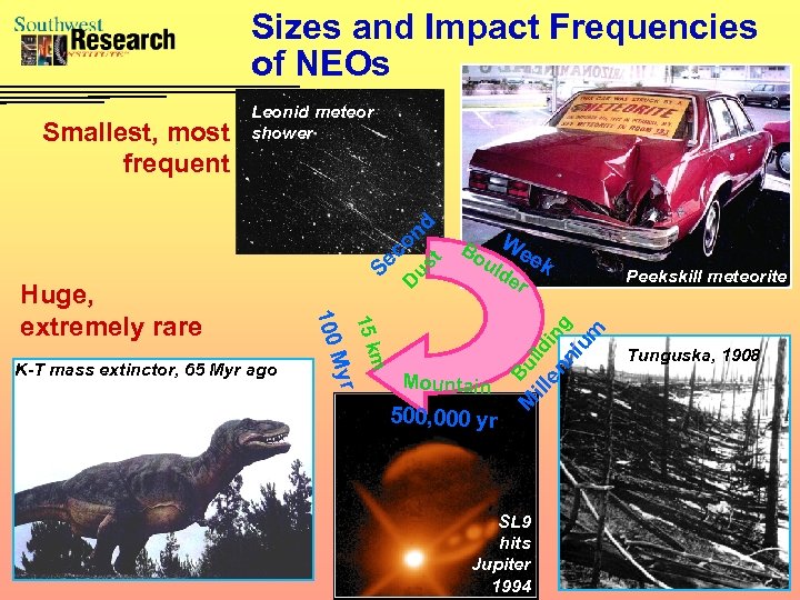 Sizes and Impact Frequencies of NEOs Du s Bo We uld ek er m