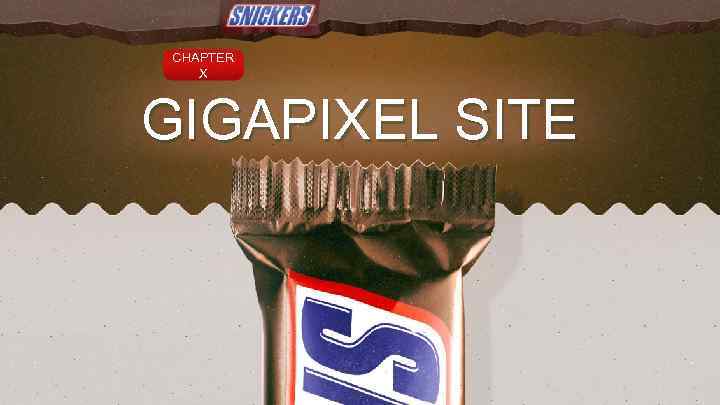 CHAPTER X GIGAPIXEL SITE 