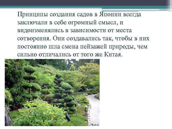 Принципы создания садов в Японии всегда заключали в себе огромный смысл, и видоизменялись в