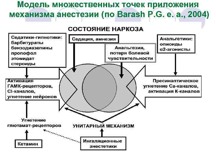 Модель множественных точек приложения механизма анестезии (по Barash P. G. e. a. , 2004)