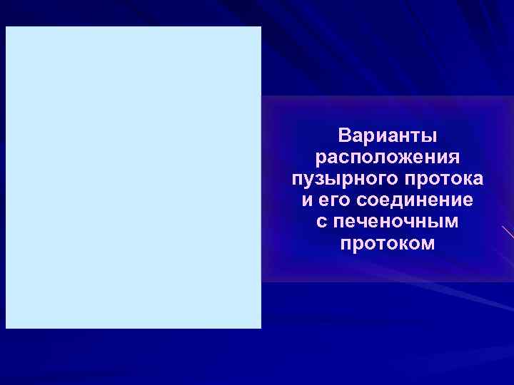 Варианты расположения пузырного протока и его соединение с печеночным протоком 