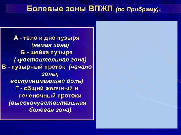 Болевые зоны ВПЖП (по Прибраму): А - тело и дно пузыря (немая зона) Б
