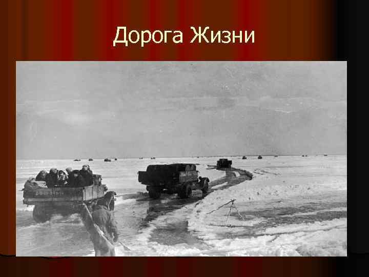 Дорога Жизни 