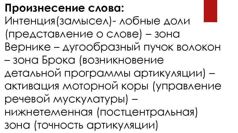 Произнесение слова: Интенция(замысел)- лобные доли (представление о слове) – зона Вернике – дугообразный пучок