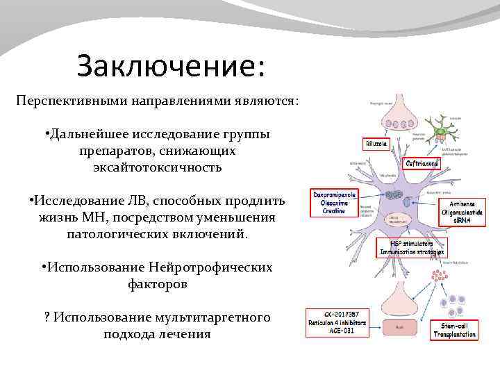 Заключение: Перспективными направлениями являются: • Дальнейшее исследование группы препаратов, снижающих эксайтотоксичность • Исследование ЛВ,