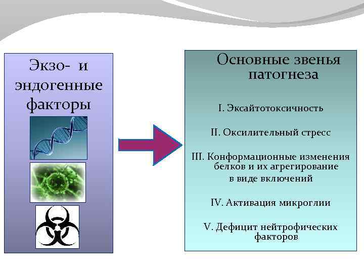 Экзо- и эндогенные факторы Основные звенья патогнеза I. Эксайтотоксичность II. Оксилительный стресс III. Конформационные