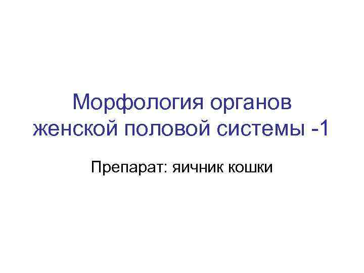 Морфология органов женской половой системы -1 Препарат: яичник кошки 