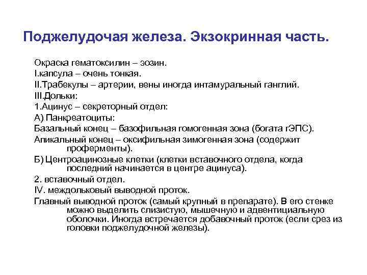 Поджелудочая железа. Экзокринная часть. Окраска гематоксилин – эозин. I. капсула – очень тонкая. II.