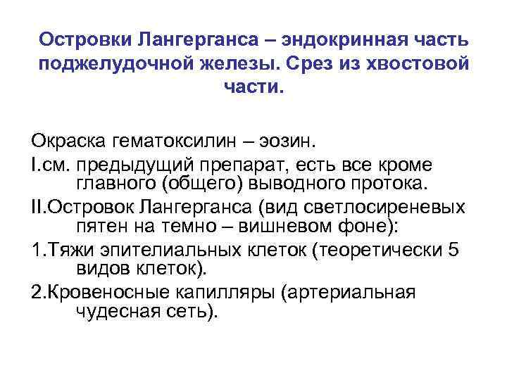 Островки Лангерганса – эндокринная часть поджелудочной железы. Срез из хвостовой части. Окраска гематоксилин –