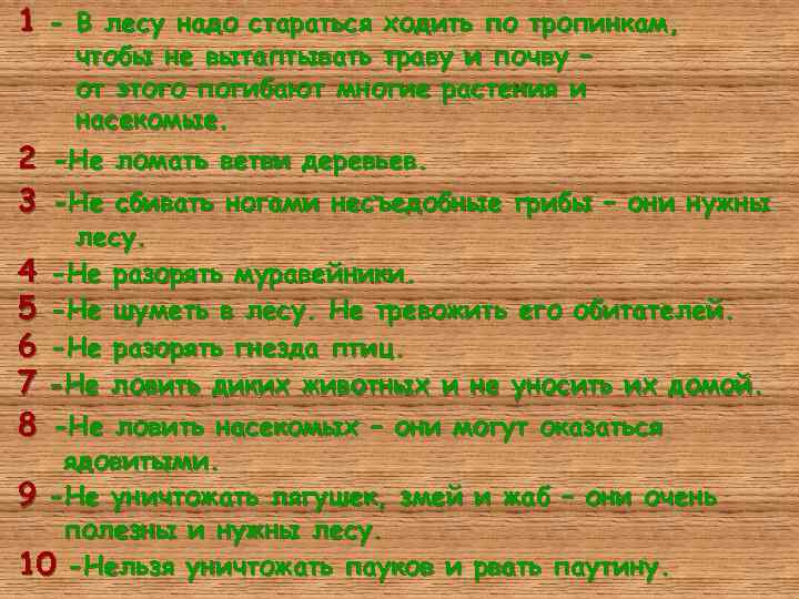 1 - В лесу надо стараться ходить по тропинкам, чтобы не вытаптывать траву и