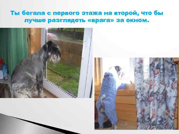 Ты бегала с первого этажа на второй, что бы лучше разглядеть «врага» за окном.