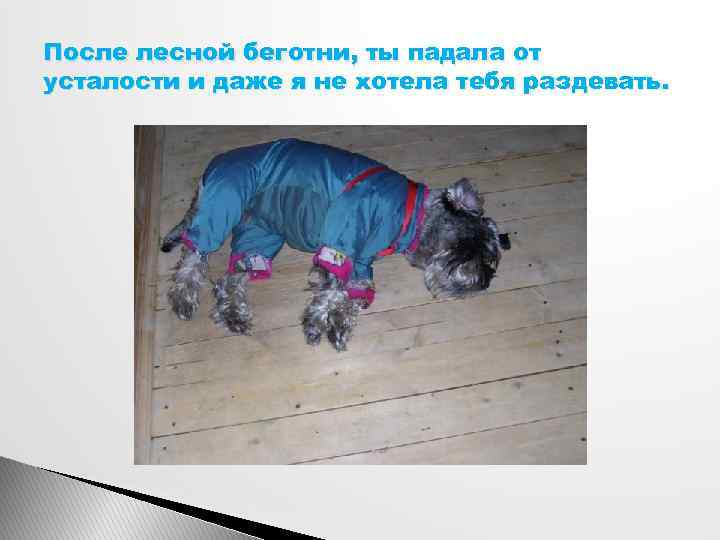 После лесной беготни, ты падала от усталости и даже я не хотела тебя раздевать.