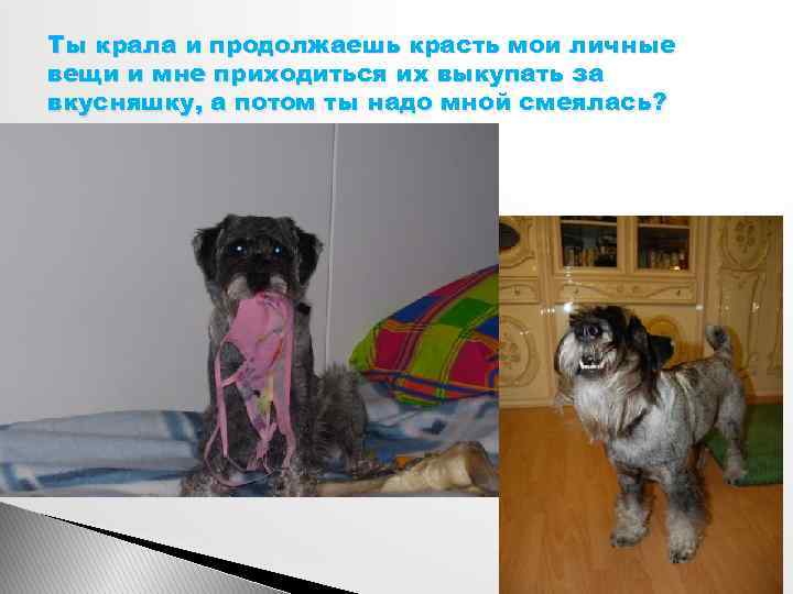 Ты крала и продолжаешь красть мои личные вещи и мне приходиться их выкупать за