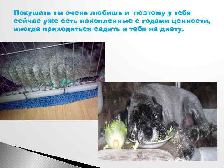 Покушать ты очень любишь и поэтому у тебя сейчас уже есть накопленные с годами