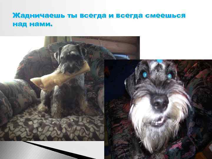 Жадничаешь ты всегда и всегда смеешься над нами. 