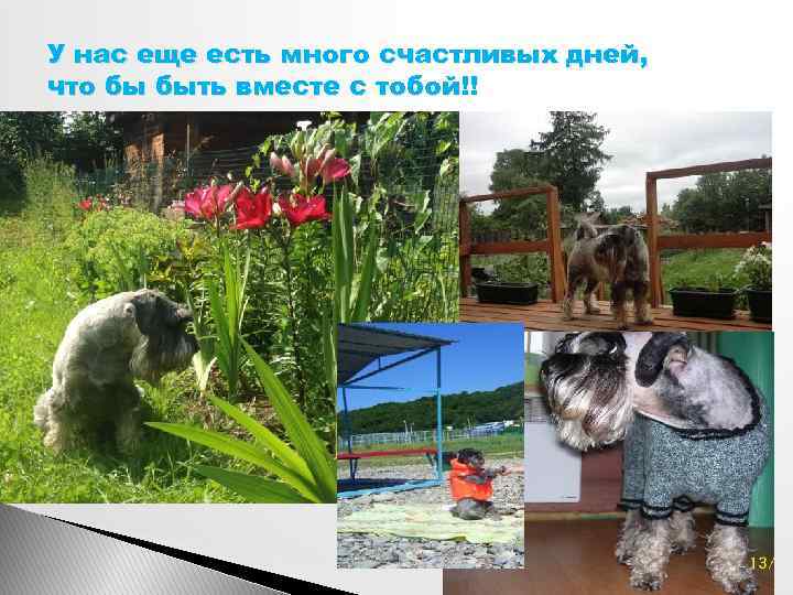 У нас еще есть много счастливых дней, что бы быть вместе с тобой!! 