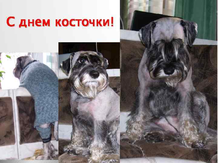 С днем косточки! 
