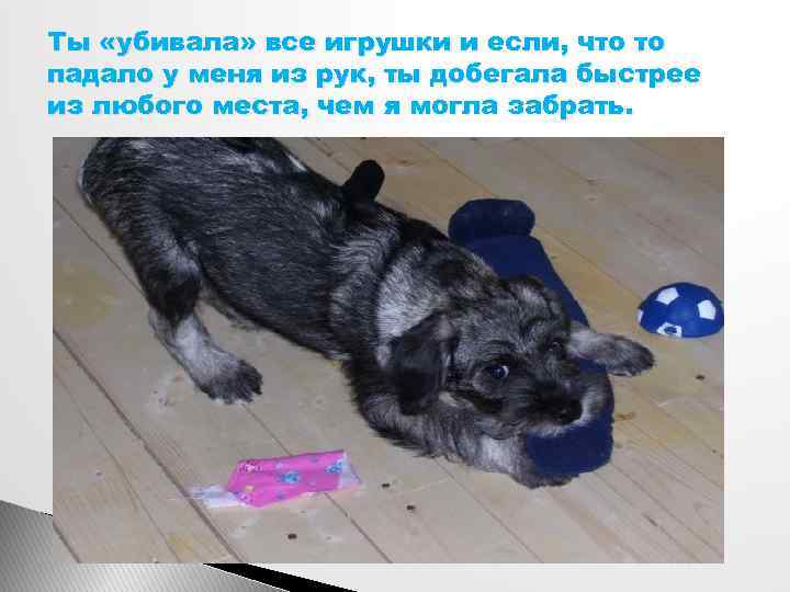 Ты «убивала» все игрушки и если, что то падало у меня из рук, ты