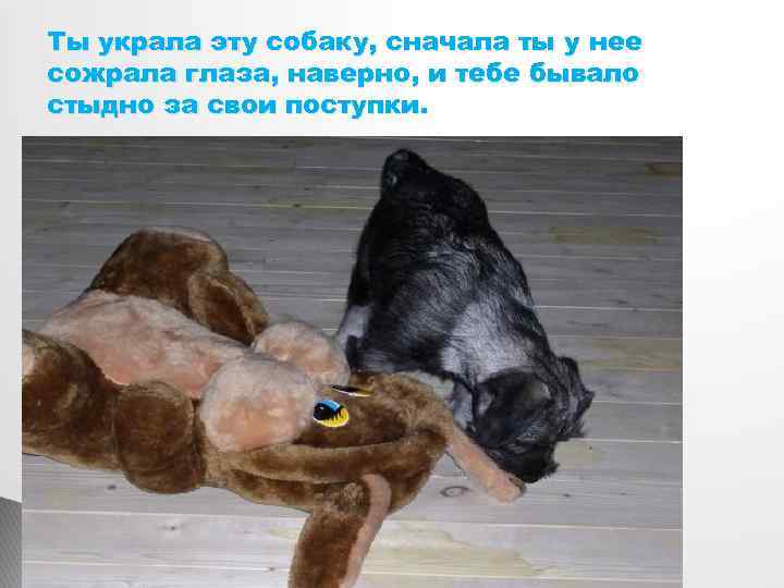 Ты украла эту собаку, сначала ты у нее сожрала глаза, наверно, и тебе бывало