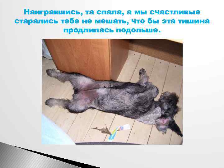 Наигравшись, та спала, а мы счастливые старались тебе не мешать, что бы эта тишина