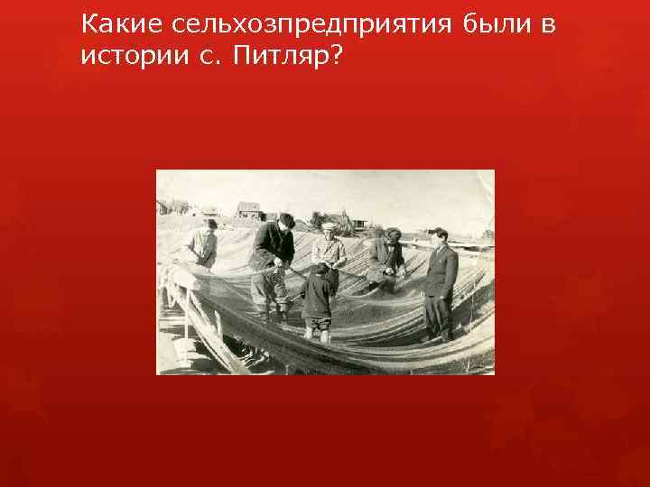 Какие сельхозпредприятия были в истории с. Питляр? 