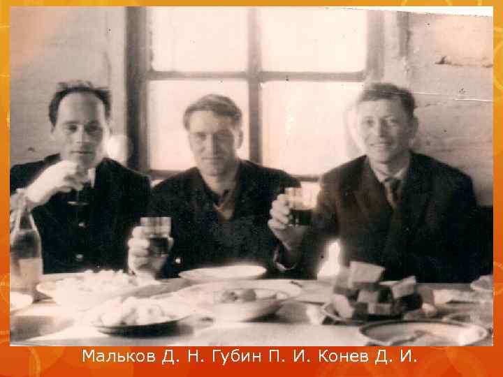 Мальков Д. Н. Губин П. И. Конев Д. И. 