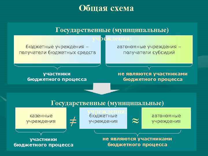 Общая схема Государственные (муниципальные) учреждения: бюджетные учреждения – получатели бюджетных средств автономные учреждения –