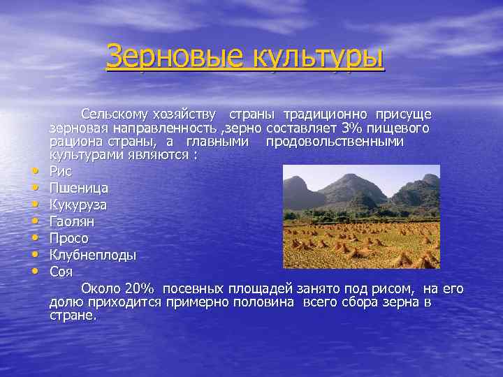 Зерновые культуры • • Сельскому хозяйству страны традиционно присуще зерновая направленность , зерно составляет