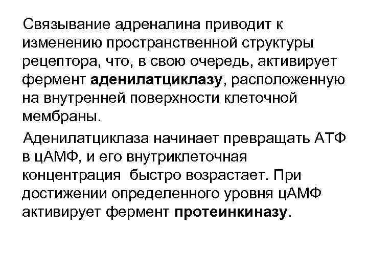 Связывание адреналина приводит к изменению пространственной структуры рецептора, что, в свою очередь, активирует фермент
