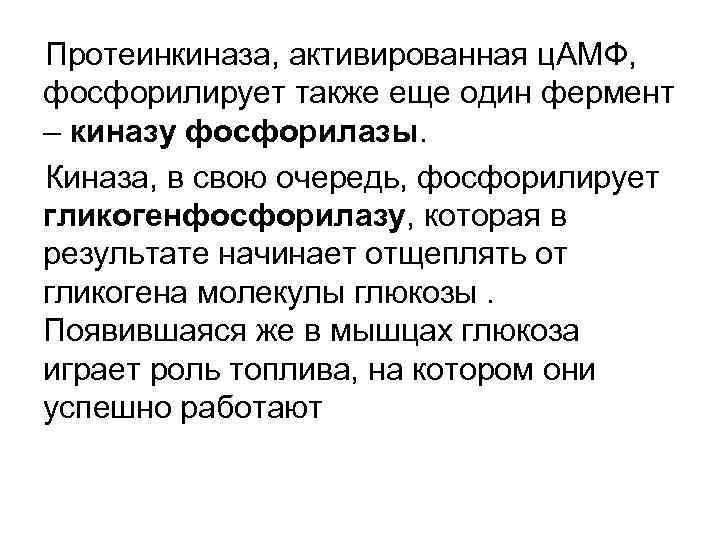 Протеинкиназа, активированная ц. АМФ, фосфорилирует также еще один фермент – киназу фосфорилазы. Киназа, в