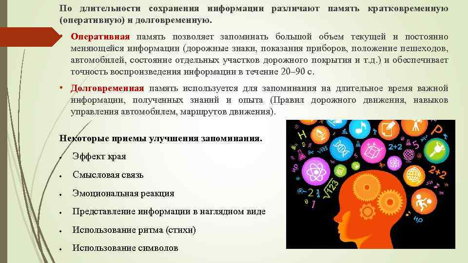 По длительности сохранения информации различают память кратковременную (оперативную) и долговременную. • Оперативная память позволяет