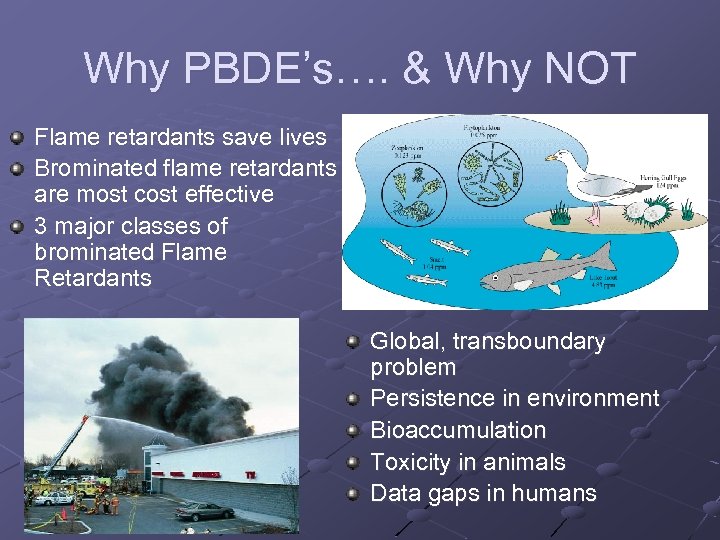 Why PBDE’s…. & Why NOT Flame retardants save lives Brominated flame retardants are most