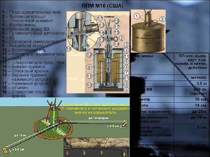 ППМ М 16 (США) 1 – Предохранительная чека 2 – Вытяжное кольцо 3 –