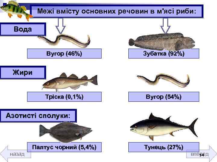 Межі вмісту основних речовин в м'ясі риби: Вода Вугор (46%) Зубатка (92%) Тріска (0,