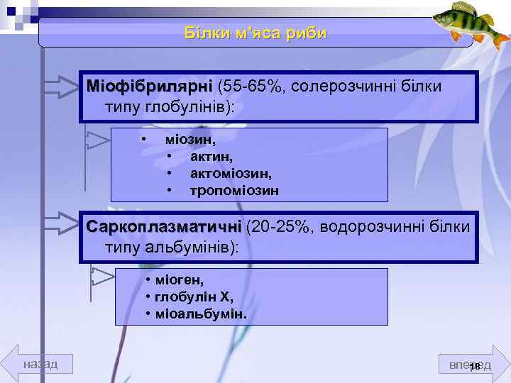 Білки м'яса риби Міофібрилярні (55 -65%, солерозчинні білки Міофібрилярні типу глобулінів): • міозин, •