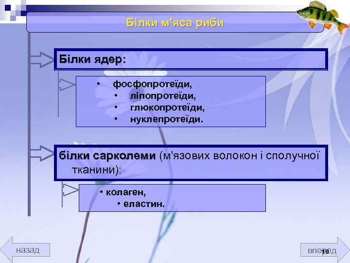 Білки м'яса риби Білки ядер: • фосфопротеїди, • ліпопротеїди, • глюкопротеїди, • нуклепротеїди. білки